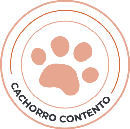 sello cachorro contento sello cachorro contento
